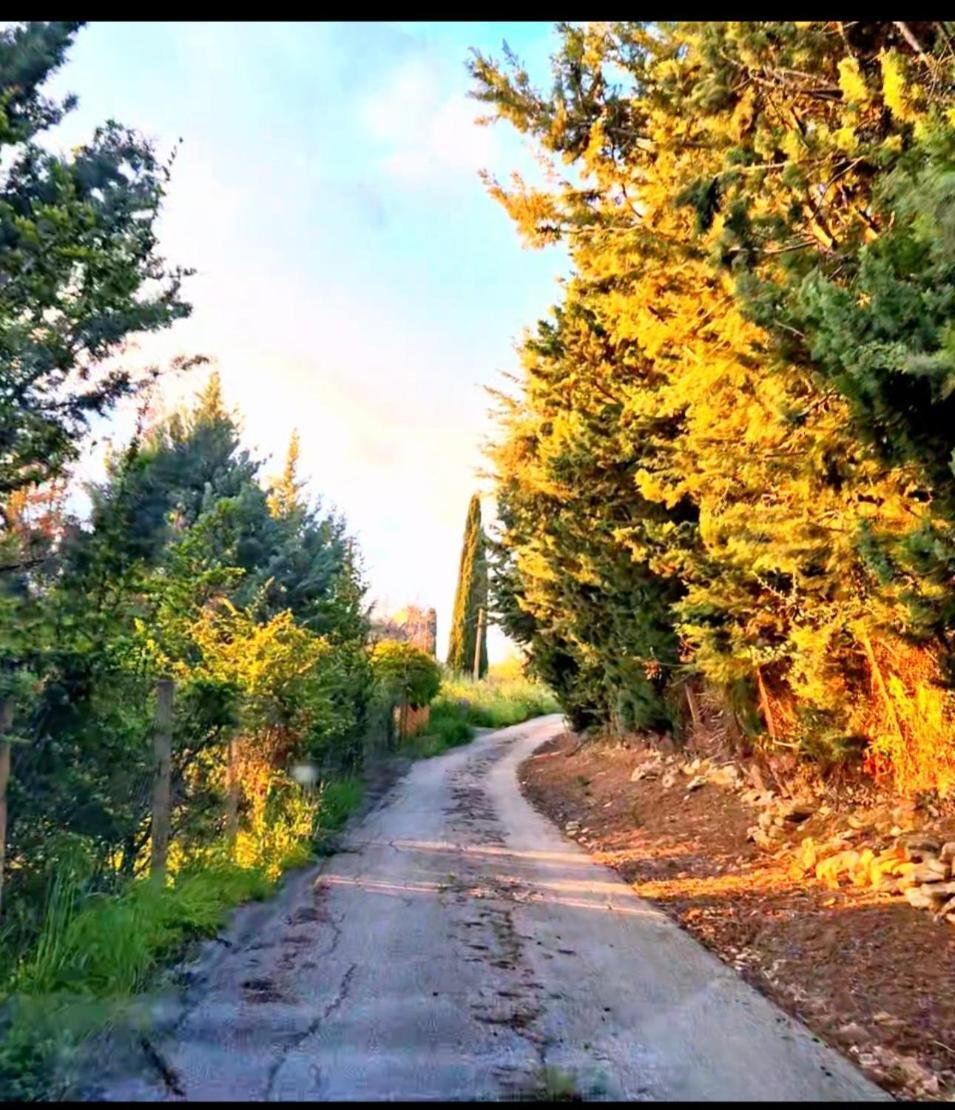 Donna Caterina House, Autentica Oasi Di Confort E Relax Nel Cuore Della Sicilia Pietraperzia Екстер'єр фото